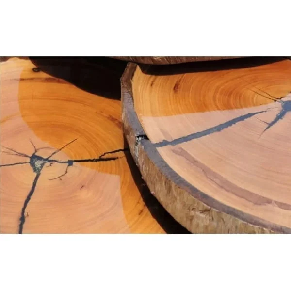 Resina Epoxi Para Sellar Y Encapsular Madera 1,6kg - Ecopint - Imagen 2
