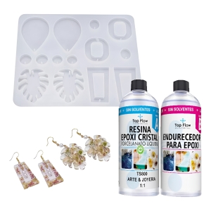 Resina Epoxi 600g + Molde De Silicona 895 - G1 - Ecopint