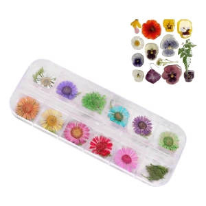 Kit Flores Secas Artesanias, Encapsúlados