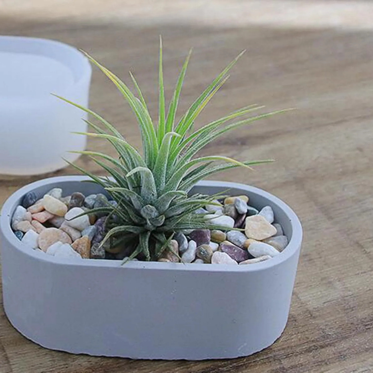 Molde Silicona Mini Maceta Ovalada 11.5cm - Imagen 5